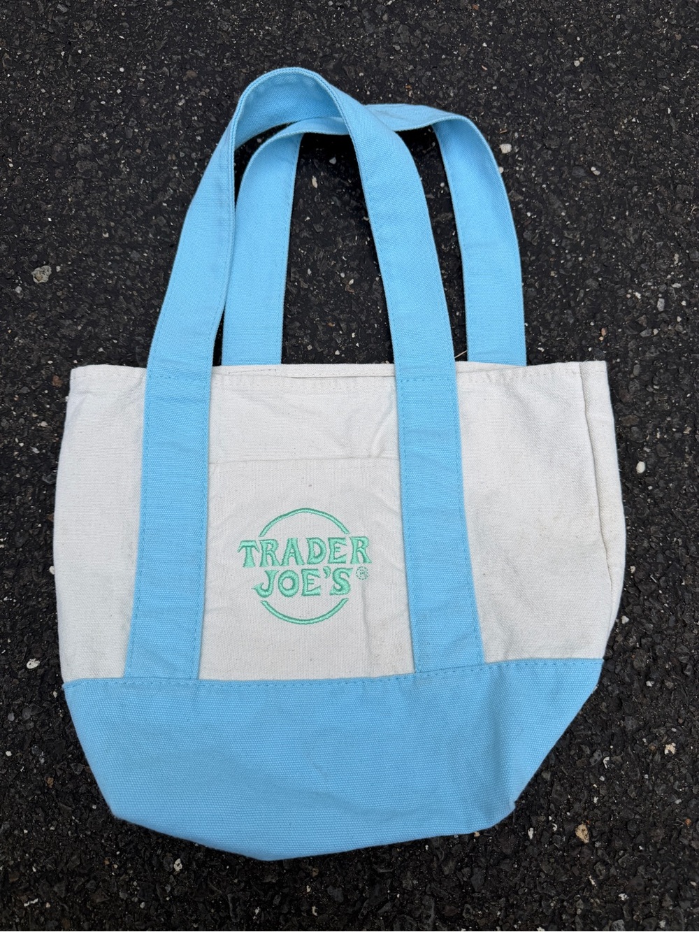 Trader Joe's Light Blue and Cream Canvas Tote small